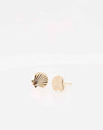 Scallop Stud Earrings